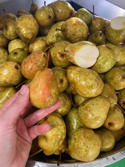 Beautiful Wisconsin Pears used to make Fed Up Foods Pear Sauce